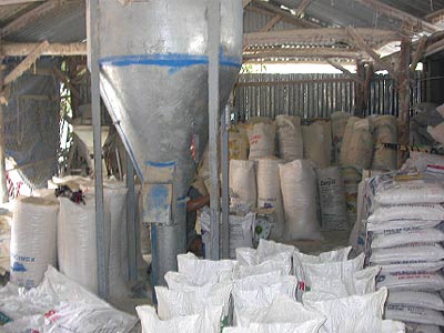 Giá thức ăn chăn nuôi sẽ giảm 25-30% từ tháng tới